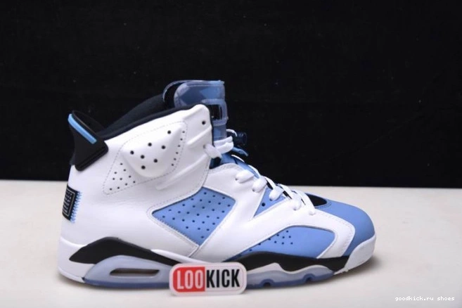 Cheap Air CT8529-410 UNC Jordan 6 0717